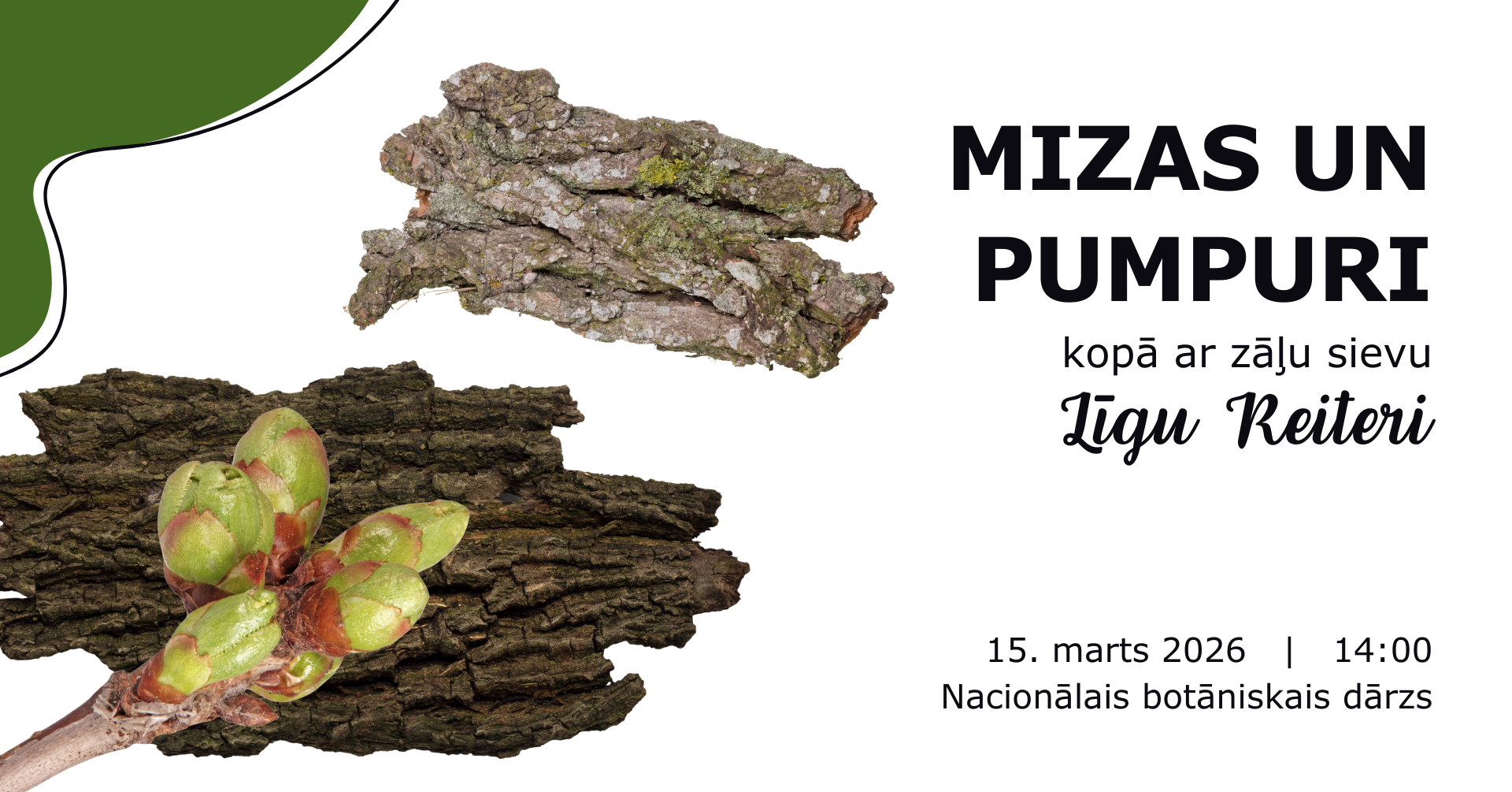 Mizas un pumpuri — Nacionālais botāniskais dārzs